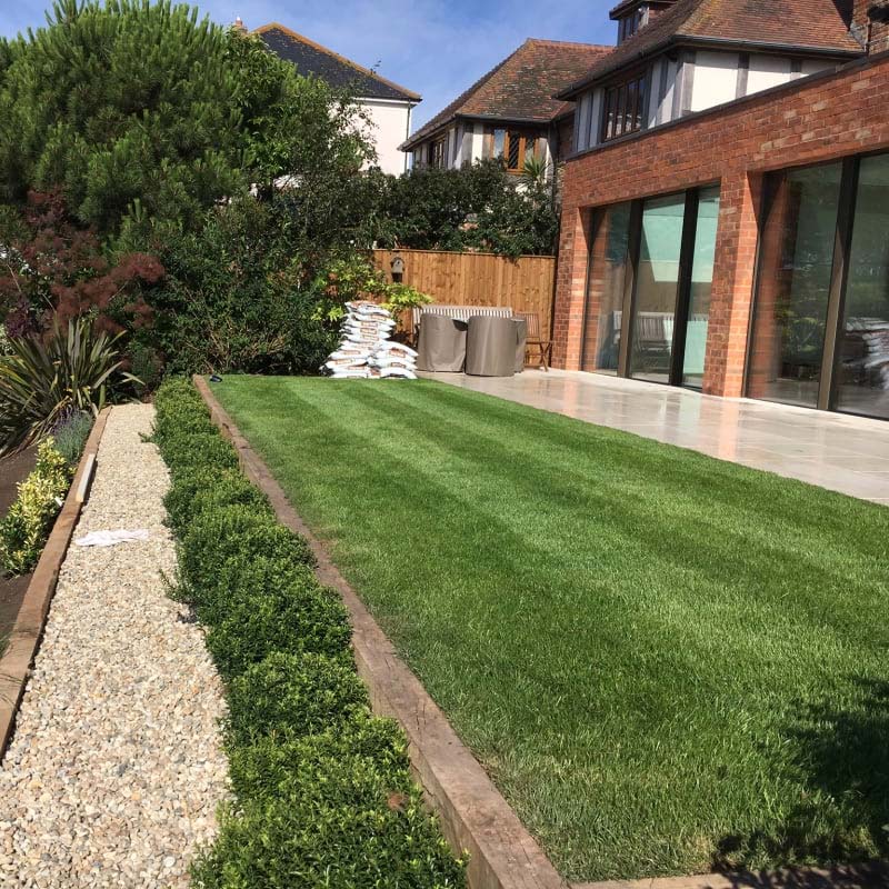 Professional Gardening services in Eastbourne